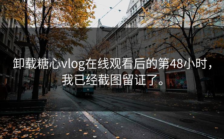 卸载<strong>糖心vlog</strong>在线观看后的第48小时，我已经截图留证了。