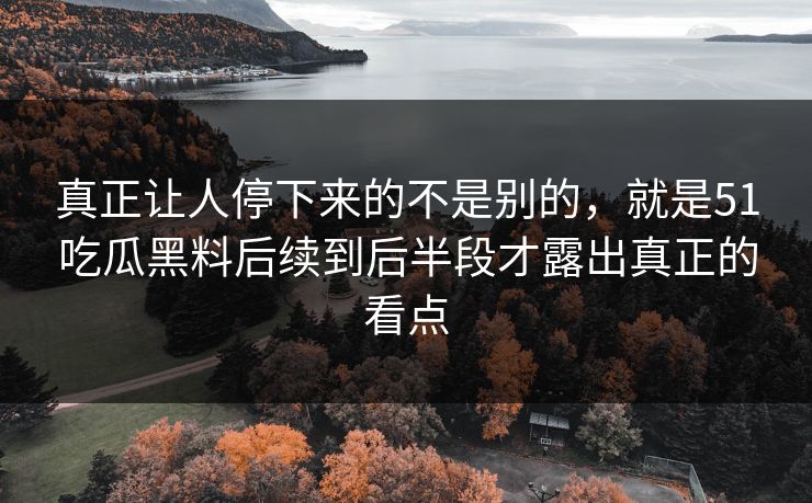 真正让人停下来的不是别的，就是51吃瓜黑料后续到后半段才露出真正的看点