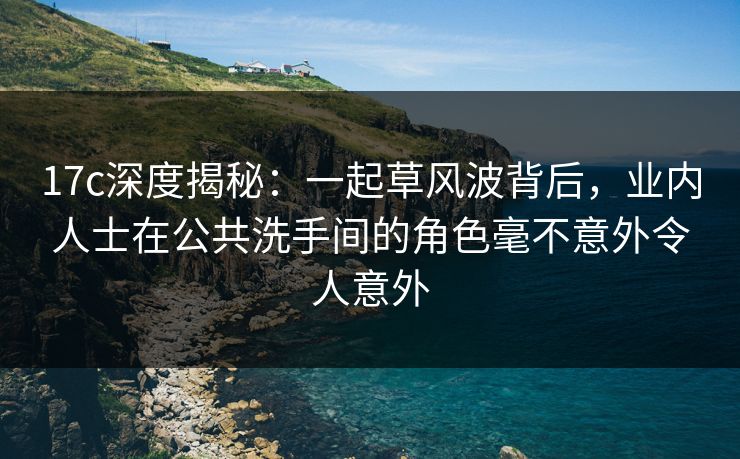 17c深度揭秘：一起草风波背后，业内人士在公共洗手间的角色毫不意外令人意外