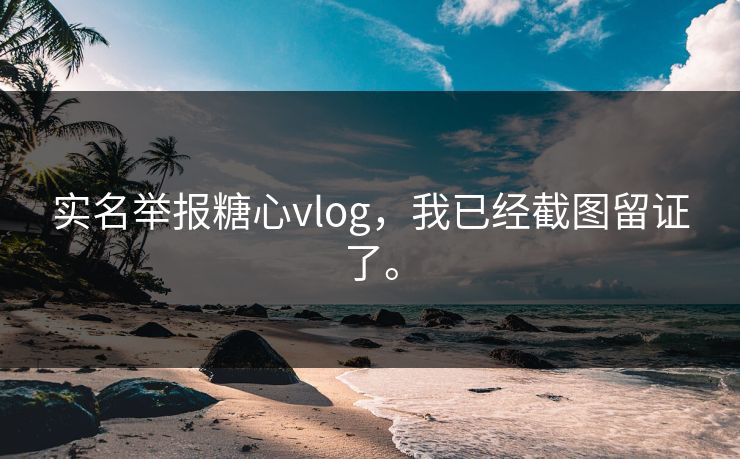 实名举报糖心vlog，我已经截图留证了。