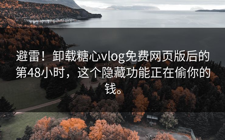 避雷！卸载<strong>糖心vlog</strong>免费网页版后的第48小时，这个隐藏功能正在偷你的钱。