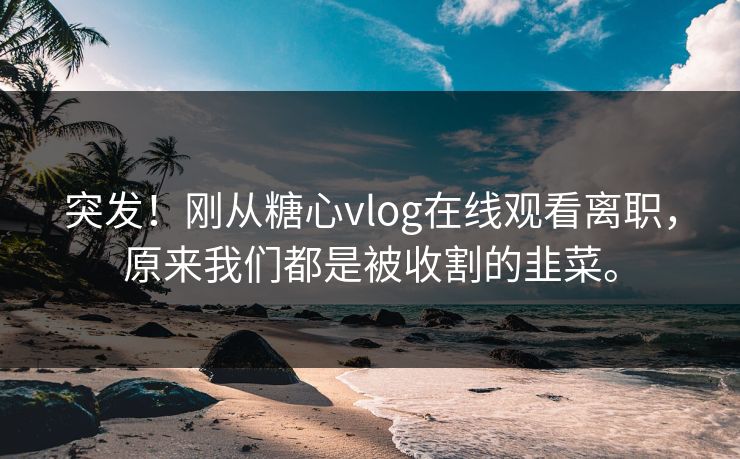 突发！刚从糖心vlog在线观看离职，原来我们都是被收割的韭菜。