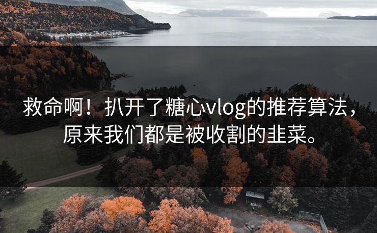 救命啊！扒开了糖心vlog的推荐算法，原来我们都是被收割的韭菜。